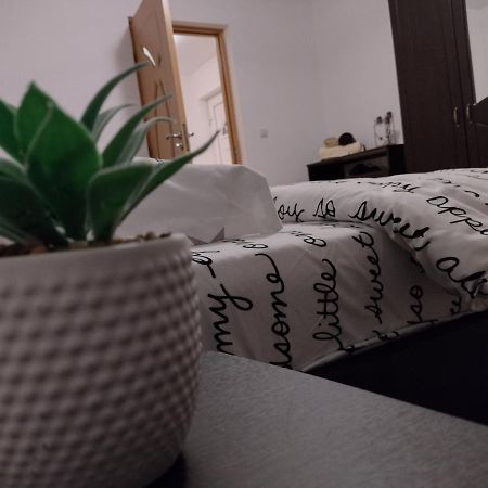 Casa Anastasiei 브라쇼브 외부 사진