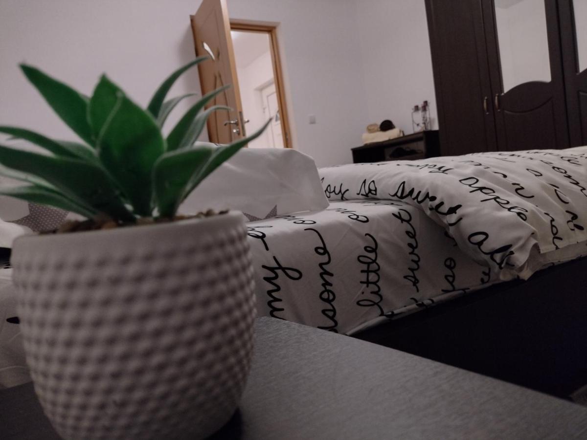 Casa Anastasiei 브라쇼브 외부 사진