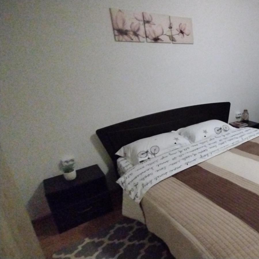 Casa Anastasiei 브라쇼브 외부 사진